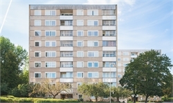 Image missing alt text