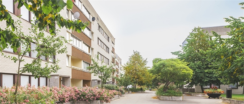Tidplan - 