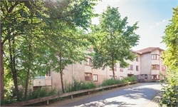 Image missing alt text