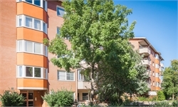 Image missing alt text