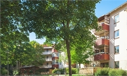 Image missing alt text