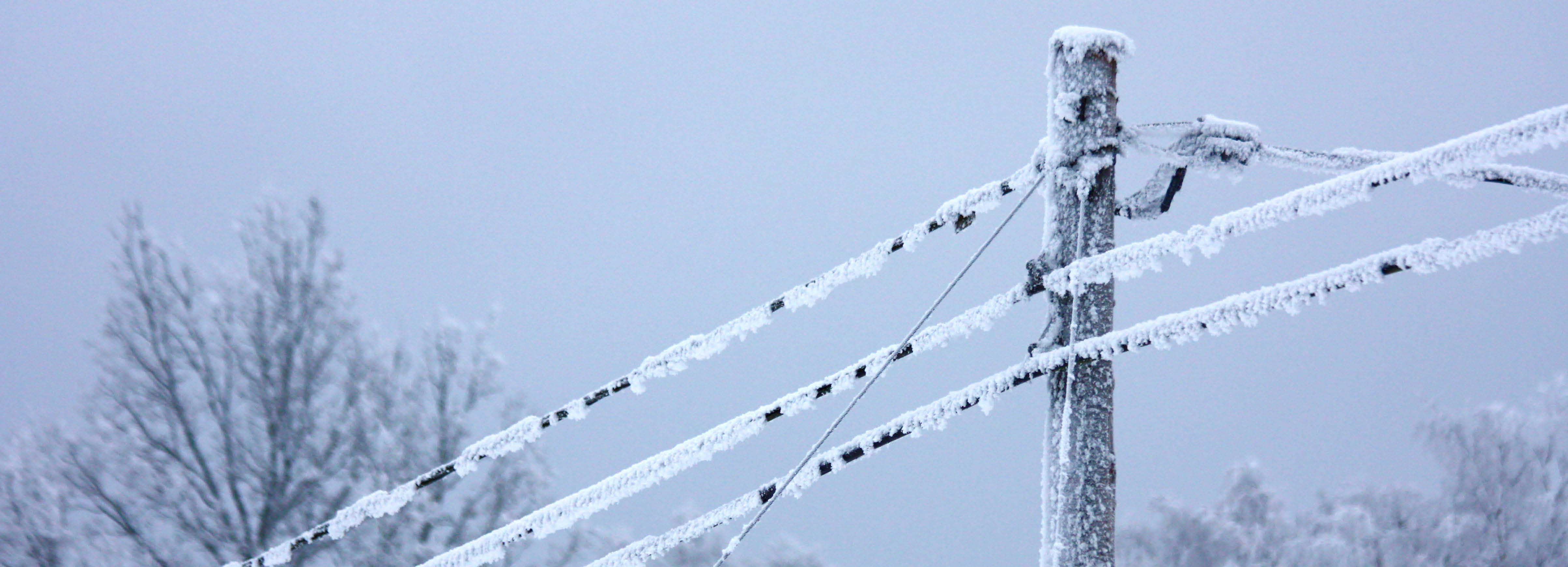 /Global/DisplayMultimediaDescription.ashx?guid=105a81da-04be-404d-a76f-e8636d7cbd4e