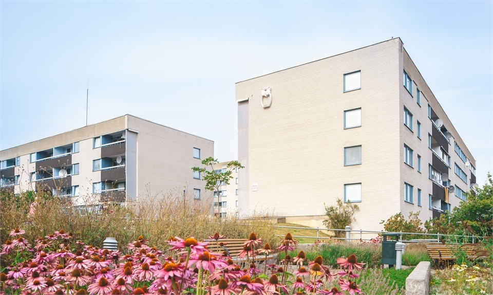 /Global/DisplayMultimediaDescription.ashx?guid=60711cb4-26ab-4fb1-b240-ecec75277c3a