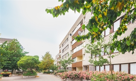 /Global/DisplayMultimediaDescription.ashx?guid=808d5065-ac82-47a4-ad46-fabd562d551d