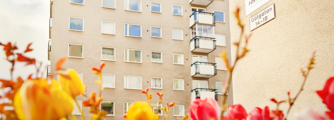 Ett gult höghus med vita balkonger på Götgatan. Blommor i höstfärger