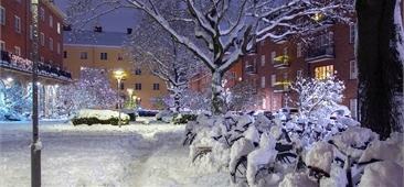 Stadsmiljö med buskar, hus och gator täckta av snö.