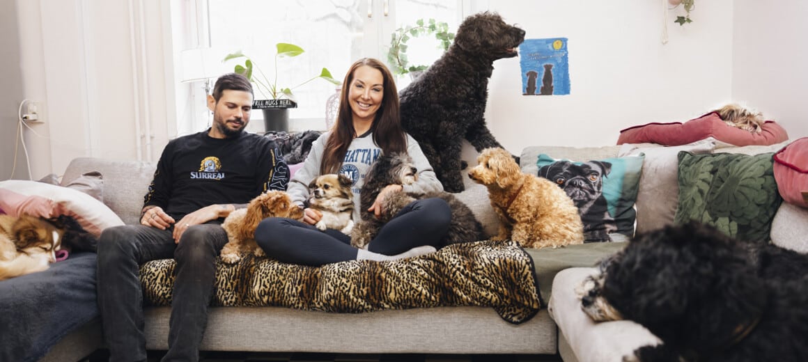 Bild för: Om hunden själv får välja