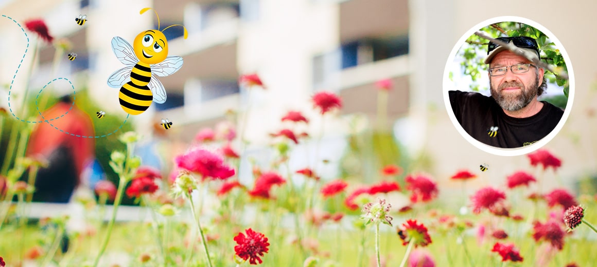 Bild för: Gården – för dig och naturen