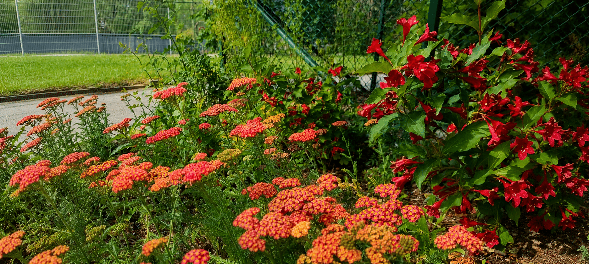 Bild för: Från synpunkter till blommande förbättringar